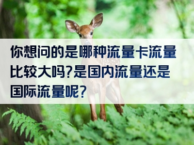 你想问的是哪种流量卡流量比较大吗？是国内流量还是国际流量呢？