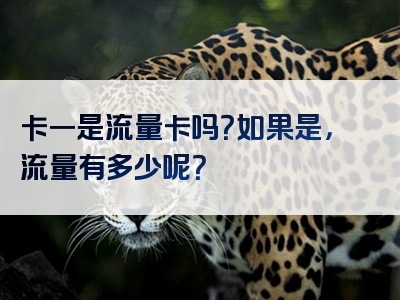 卡一是流量卡吗？如果是，流量有多少呢？
