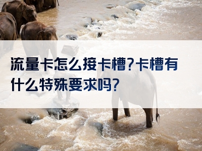 流量卡怎么接卡槽？卡槽有什么特殊要求吗？