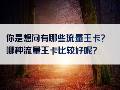 你是想问有哪些流量王卡？哪种流量王卡比较好呢？