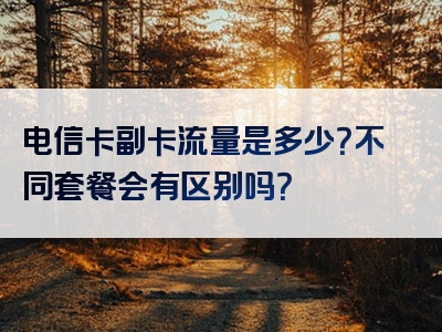 电信卡副卡流量是多少？不同套餐会有区别吗？