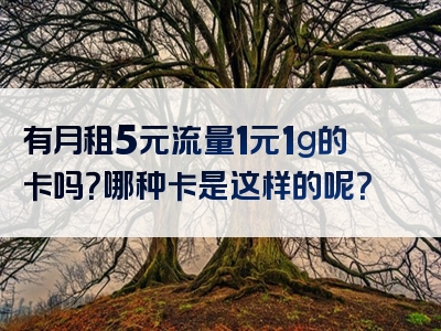 有月租5元流量1元1g的卡吗？哪种卡是这样的呢？