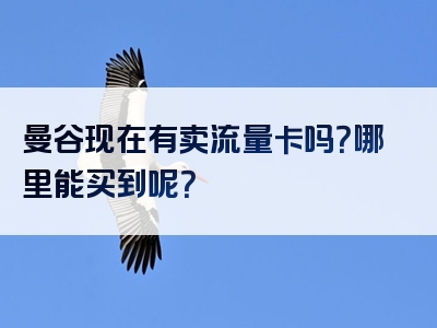 曼谷现在有卖流量卡吗？哪里能买到呢？