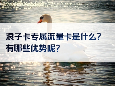 浪子卡专属流量卡是什么？有哪些优势呢？
