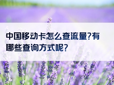 中国移动卡怎么查流量？有哪些查询方式呢？