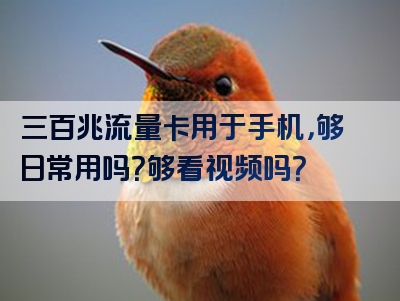 三百兆流量卡用于手机，够日常用吗？够看视频吗？