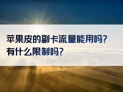 苹果皮的副卡流量能用吗？有什么限制吗？