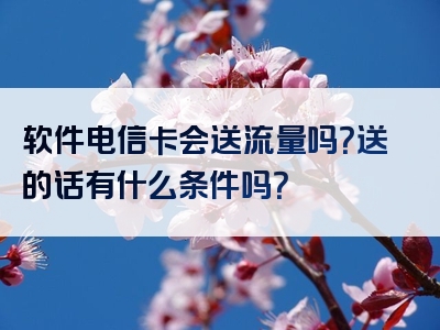 软件电信卡会送流量吗？送的话有什么条件吗？