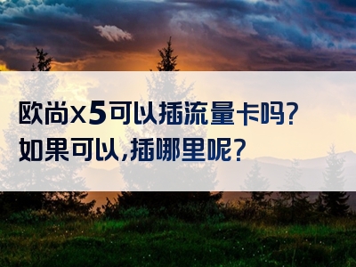 欧尚x5可以插流量卡吗？如果可以，插哪里呢？