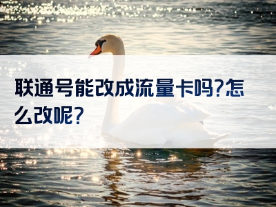 联通号能改成流量卡吗？怎么改呢？