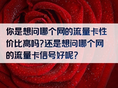 你是想问哪个网的流量卡性价比高吗？还是想问哪个网的流量卡信号好呢？