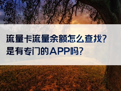 流量卡流量余额怎么查找？是有专门的APP吗？