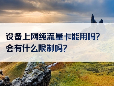 设备上网纯流量卡能用吗？会有什么限制吗？
