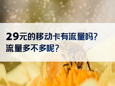 29元的移动卡有流量吗？流量多不多呢？