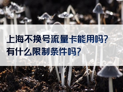上海不换号流量卡能用吗？有什么限制条件吗？