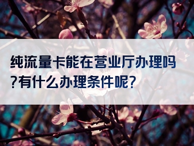 纯流量卡能在营业厅办理吗？有什么办理条件呢？