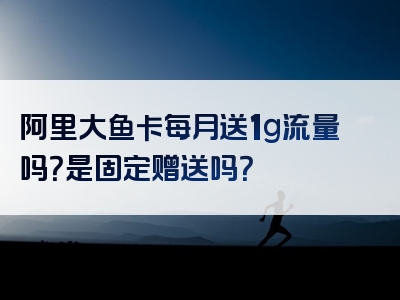 阿里大鱼卡每月送1g流量吗？是固定赠送吗？