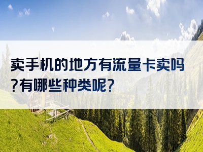 卖手机的地方有流量卡卖吗？有哪些种类呢？