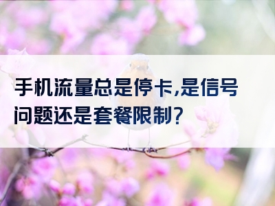 手机流量总是停卡，是信号问题还是套餐限制？