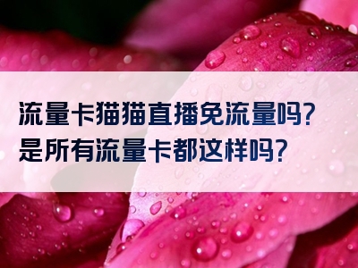 流量卡猫猫直播免流量吗？是所有流量卡都这样吗？