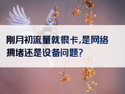 刚月初流量就很卡，是网络拥堵还是设备问题？