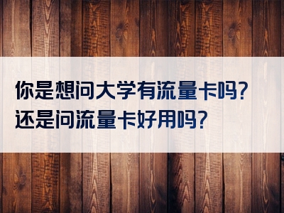 你是想问大学有流量卡吗？还是问流量卡好用吗？