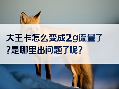 大王卡怎么变成2g流量了？是哪里出问题了呢？