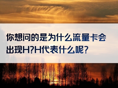 你想问的是为什么流量卡会出现H？H代表什么呢？