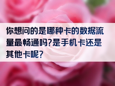你想问的是哪种卡的数据流量最畅通吗？是手机卡还是其他卡呢？