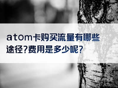 atom卡购买流量有哪些途径？费用是多少呢？