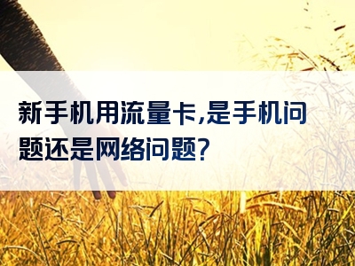 新手机用流量卡，是手机问题还是网络问题？