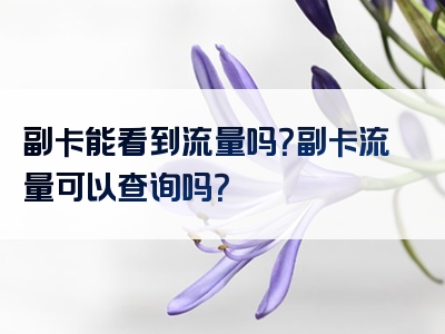 副卡能看到流量吗？副卡流量可以查询吗？