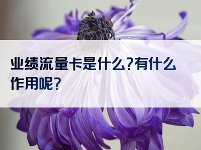 业绩流量卡是什么？有什么作用呢？