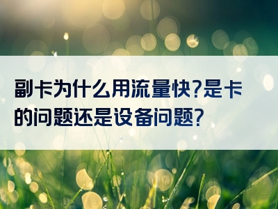 副卡为什么用流量快？是卡的问题还是设备问题？