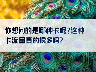 你想问的是哪种卡呢？这种卡流量真的很多吗？