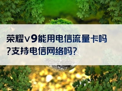 荣耀v9能用电信流量卡吗？支持电信网络吗？