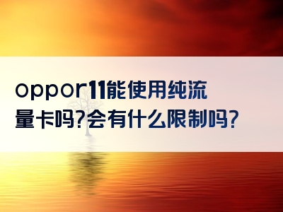 oppor11能使用纯流量卡吗？会有什么限制吗？