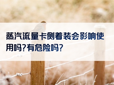 蒸汽流量卡侧着装会影响使用吗？有危险吗？