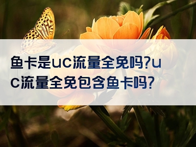 鱼卡是uc流量全免吗？uc流量全免包含鱼卡吗？
