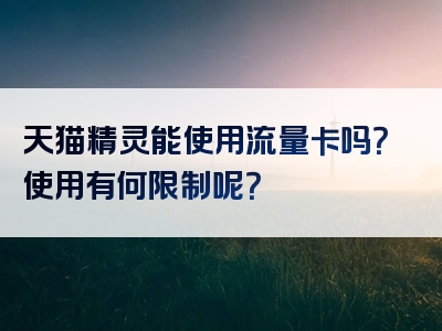 天猫精灵能使用流量卡吗？使用有何限制呢？