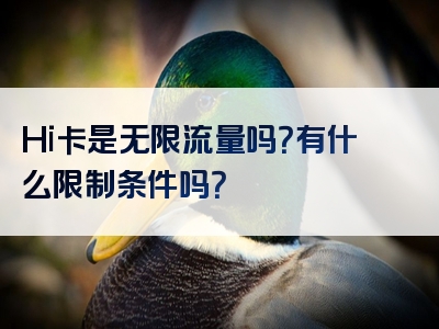 Hi卡是无限流量吗？有什么限制条件吗？