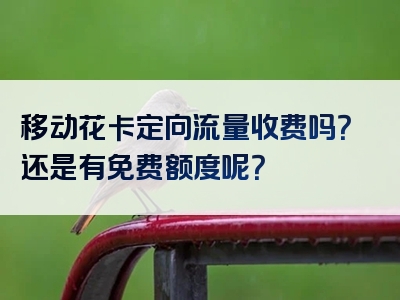 移动花卡定向流量收费吗？还是有免费额度呢？