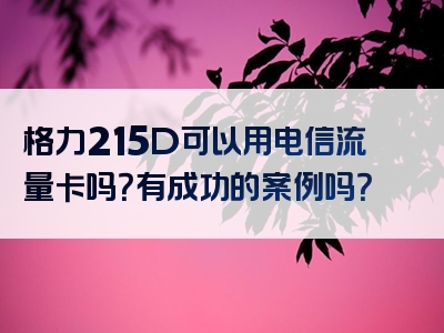 格力215D可以用电信流量卡吗？有成功的案例吗？