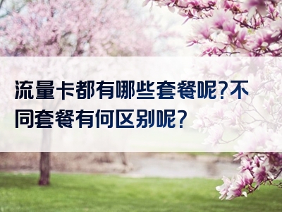 流量卡都有哪些套餐呢？不同套餐有何区别呢？