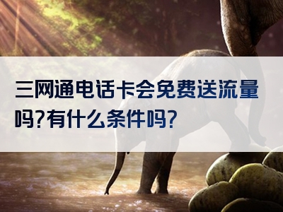 三网通电话卡会免费送流量吗？有什么条件吗？