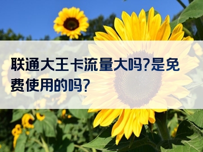 联通大王卡流量大吗？是免费使用的吗？