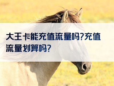 大王卡能充值流量吗？充值流量划算吗？