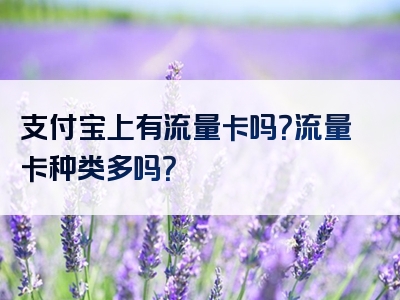 支付宝上有流量卡吗？流量卡种类多吗？