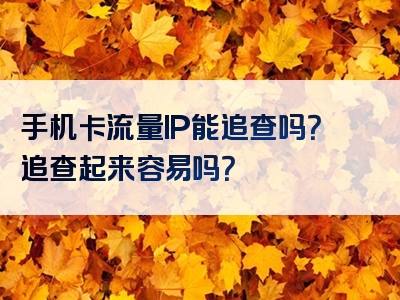 手机卡流量IP能追查吗？追查起来容易吗？