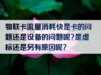 物联卡流量消耗快是卡的问题还是设备的问题呢？是虚标还是另有原因呢？
